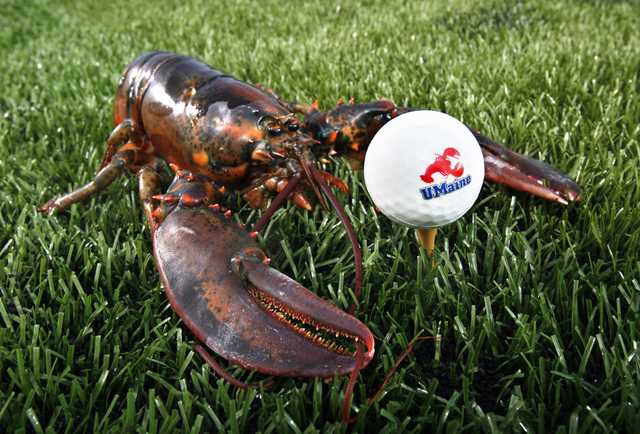 Dalla tavola al green: palline da golf fatte di crostacei