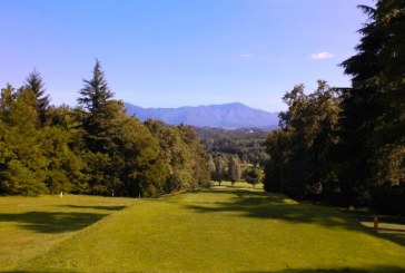 Airone D’Argento al Golf dei Laghi